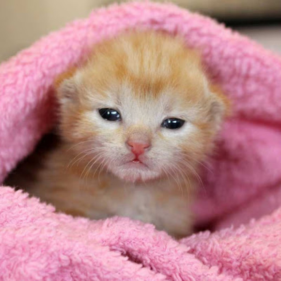 yasmin564953